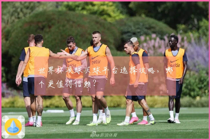 世界杯滚球买球平台选择攻略，哪个更值得信赖？
