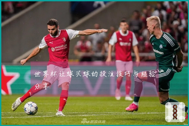世界杯让球买球的投注技巧与经验分享