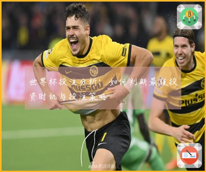 世界杯投注分析：如何判断最佳投资时机与投注策略