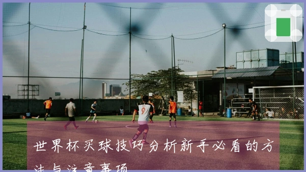 世界杯买球技巧分析新手必看的方法与注意事项