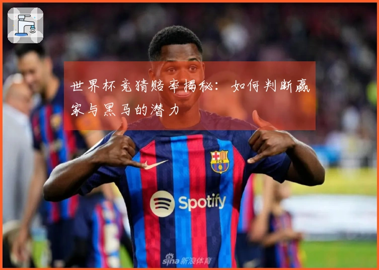 世界杯竞猜赔率揭秘：如何判断赢家与黑马的潜力