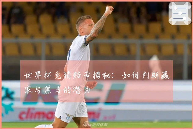 世界杯竞猜赔率揭秘：如何判断赢家与黑马的潜力