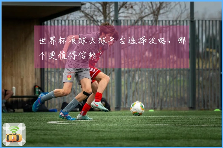 世界杯滚球买球平台选择攻略，哪个更值得信赖？